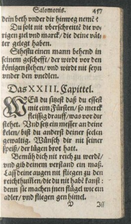Das XXIII. Capittel.