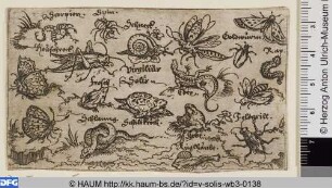 Insekten, Fische und Reptilien