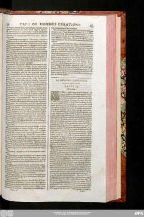 Caput II. De Anima.
