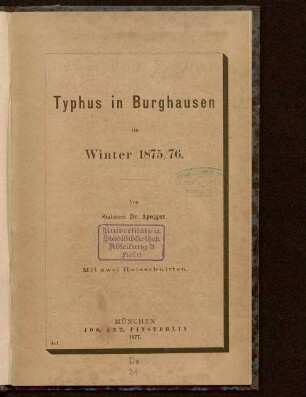 Typhus in Burghausen im Winter 1875/76