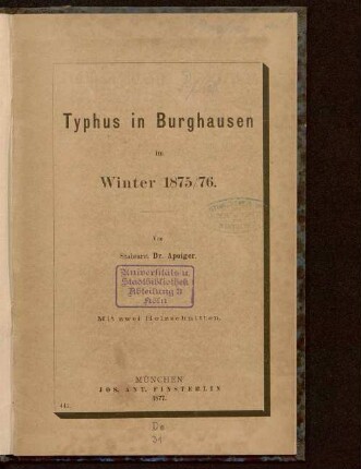 Typhus in Burghausen im Winter 1875/76