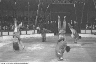 Dresden, Gastspiel des Zirkus Busch, April 1952