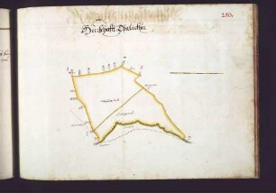 Malmstaller Hut: Herrschaftlicher Talacker