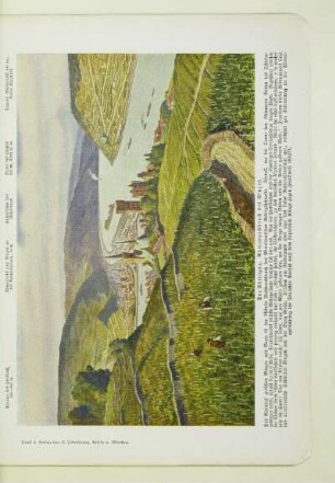 Der Rheingau