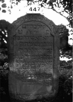 Grabstein 447