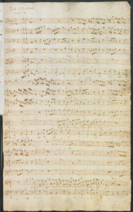 Gehet hin und lehret alle Völker; V (4), Coro, orch, bc