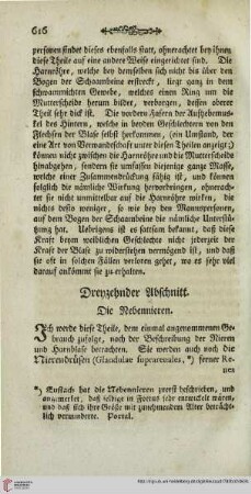 Dreyzehnter Abschnitt: Die Nebennieren