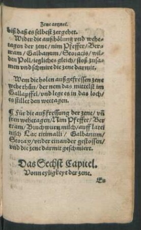 Das Sechst Capitel. Vonn eyligkeyt der zene.