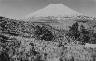 Cotopaxi : Blick auf den Vulkan Cotopaxi