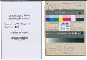 Entnazifizierung Richard Siebel , geb. 27.03.1893 (Angestellter)
