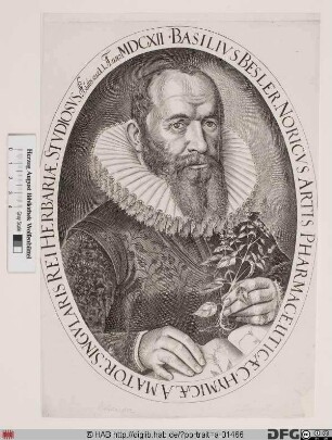 Bildnis Basilius Besler