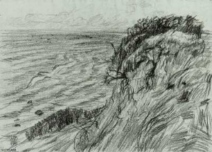 Steilküste an der Ostsee mit einzelner Möwe (Rückseite)