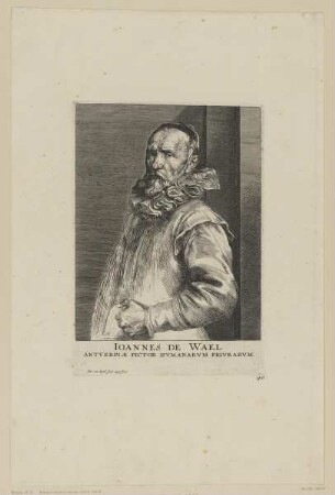 Bildnis des Ioannes de Wael