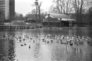 Winterstimmung im Stadtgarten