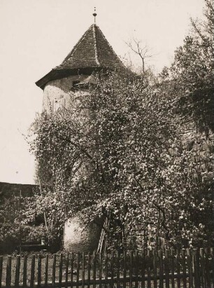 Hirschhorn. Frühling an der, im 13 Jh. erbauten gleichnamigen Burg im Neckartal