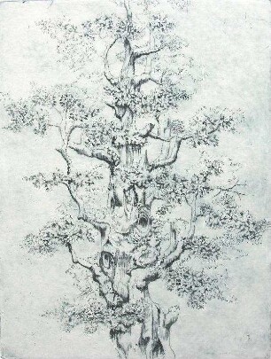Alter Baum