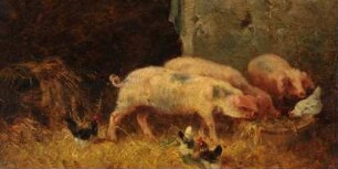 Schweinestall