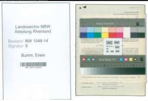 Entnazifizierung Erwin Bumm , geb. 27.01.1901 (Chemiker)