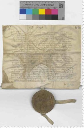 Die zwölf Ratsmannen bekunden, daß der Archid. [?] in Bevensen dem Kloster Heiligenthal 1/2 Fuder Salz aus Hinxtebeke [Sülzhaus] schenkt. [lat]