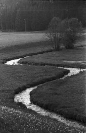 Brigach bei Stockburg