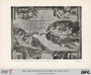 5. Creazione dell'uomo. La création de l'homme. Creation of the man. Die Schöpfung des Menschen (Michelangelo)
