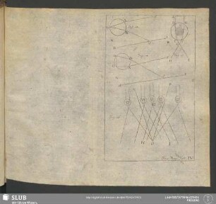 Fig. Phys: Tab. IV