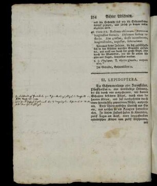 III. Lepidoptera