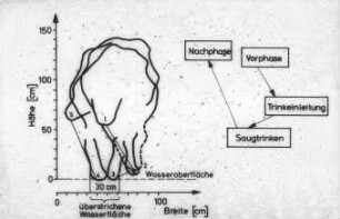 Wasseraufnahme