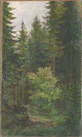 Neureuther, Lorenz; Landschaftskizzen - Wald (Ansicht)