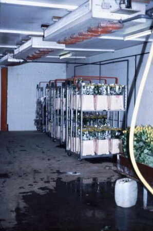Fotografie: Gartenbautechnik, Nacherntetechnik, Lagerung