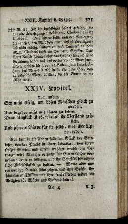 XXIV. Kapitel.
