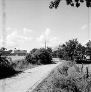 Landstraße bei Stubbendorf: im Hintergrund Wohn- und Bauernhäuser zwischen Bäumen