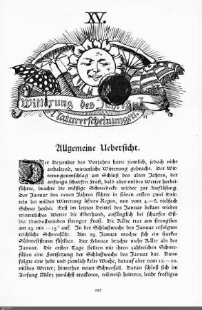 Witterung des Jahres. Naturerscheinungen.