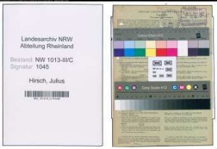 Entnazifizierung Julius Hirsch , geb. 21.02.1890 (Kaufmann)