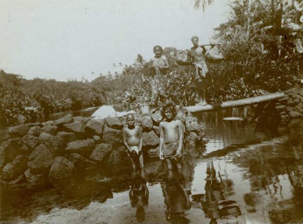 "In der Lagune hinter Malaut und Savaii. Stamm als Brücke."