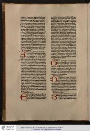 Analogia grece latine similium comparatio sive proportio nominatur...