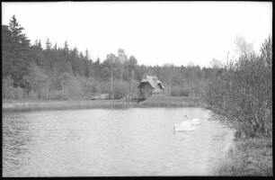 Niederschöna. Rittergutsteich