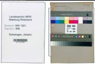 Entnazifizierung Johann Schwingen , geb. (Polizei)