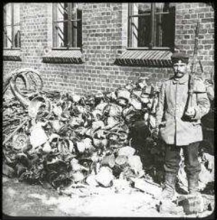 Sieg über die russischen Truppen bei Tannenberg: Soldat bewacht Kriegsschrott