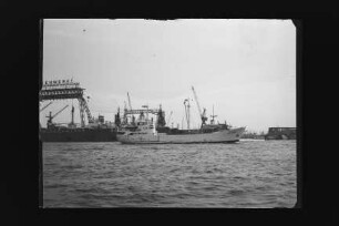 Dora Horn (1958), Frachtschiff (reefer), H. C. Horn, Hamburg, Bau-Nr. 443