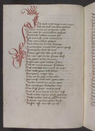 Rote Cadelle am Textanfang