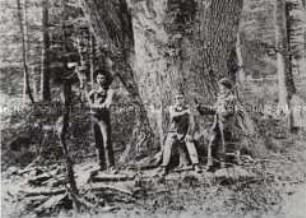 Waldarbeiter um 1910