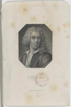 Bildnis des Carl von Linné