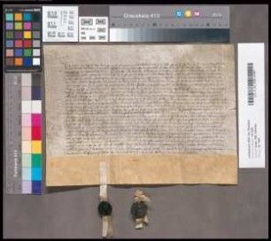 [Goedart van Hijstvelt; betr. Pachtung des Fronhofs zu Paffendorf nebst der Mühle und den Zehnten daselbst und zu Glesch, Destorf usw.]