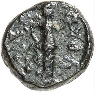 Palmyra