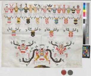 Proband: Westphalen, Friedrich Wilhelm Ferdinand Reichsgraf von; Vater: Westphalen, Clemens August Wilhelm Reichsgraf von; Mutter: Waldbott von Bassenheim, Maria Antonetta Eleonora Gräfin von: Westfalen, Hzgtm, Ritterschaft