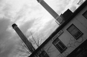 Industriellen Gartenreich : Im Industriellen Gartenreich, Kraftwerk Vockerode (Schornsteine inzwischen abgerissen)