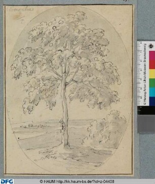 Emblem: Clementia