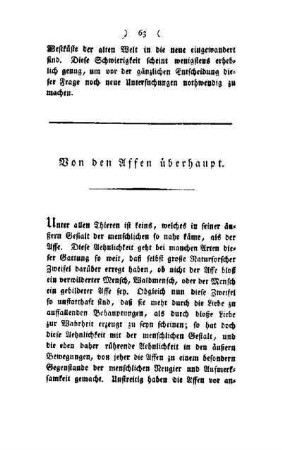 Von den Affen überhaupt