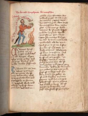 145r Cholericus